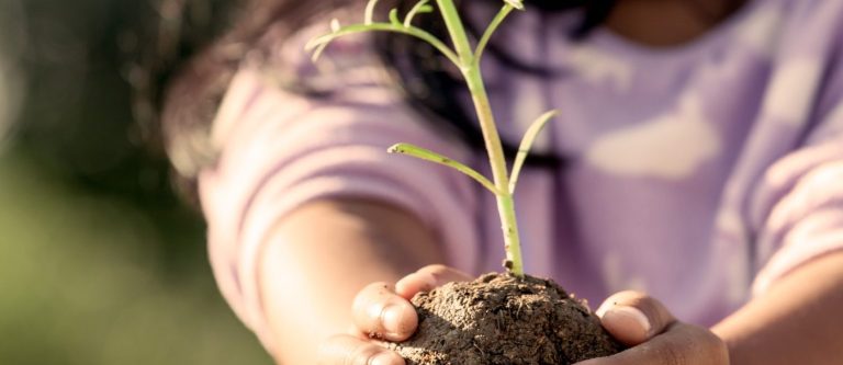 A pile f dirst with a plant growing out of it being held by a person in a lilac jumper